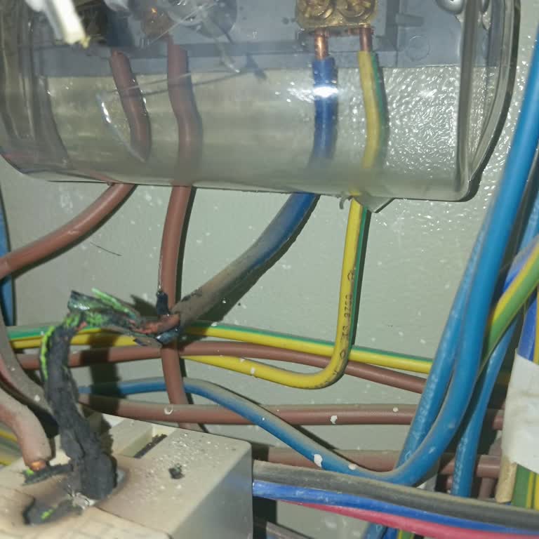 Ana Panel Rölesi Arızası Sonrası Kombi Anakartı Hasarı Ve Enerjisa Tazminat Reddi