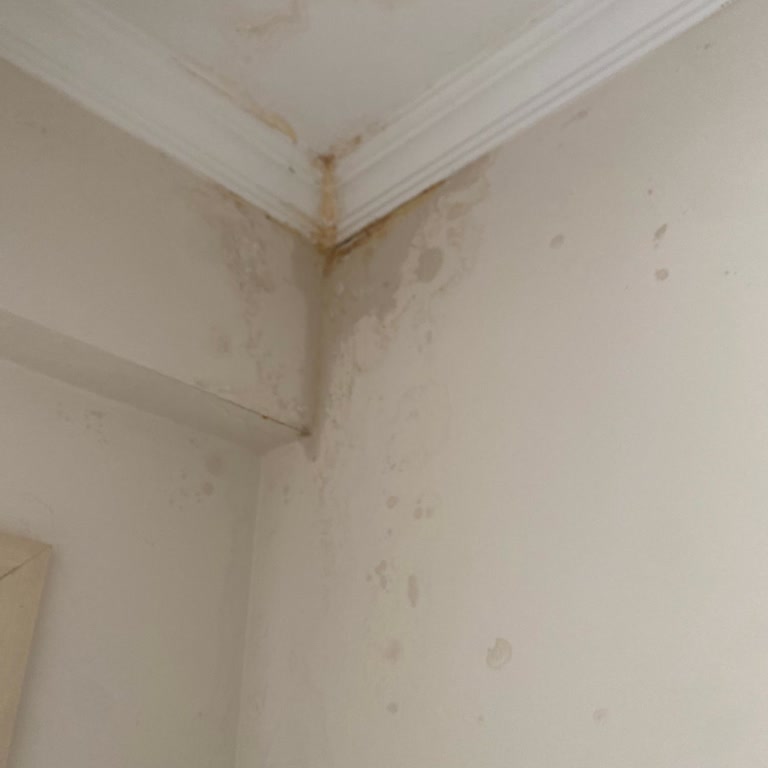 Paşa İnşaat Aradan Yaklaşık 5 Yıl Geçmesine Rağmen Bina Hâlâ Tam Anlamıyla Bitirilmedi