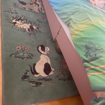 Garanti Süresi Dolmadan Kırılan Karyola Vida Sorunu