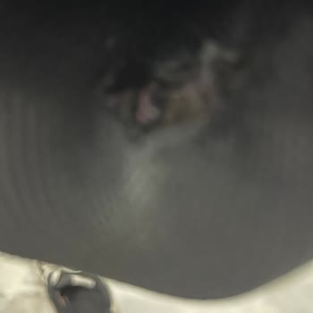 Nike Ayakkabısının İç Kısmındaki Yırtılma Ve Garanti Reddi