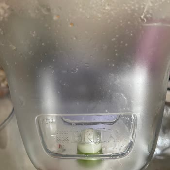 Temizlenemeyen Filtre Bölümündeki Yosunlaşma Hijyen Sorunu