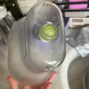 Temizlenemeyen Filtre Bölümündeki Yosunlaşma Hijyen Sorunu