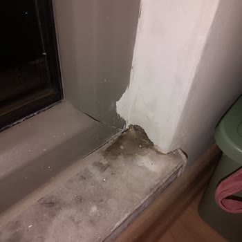 Sur Yapı Dış Cephe İzolasyonunda Su Sızıntısı Ve Sorumluluk Reddi