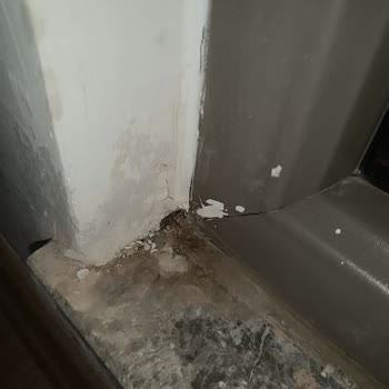 Sur Yapı Dış Cephe İzolasyonunda Su Sızıntısı Ve Sorumluluk Reddi