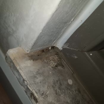 Sur Yapı Dış Cephe İzolasyonunda Su Sızıntısı Ve Sorumluluk Reddi