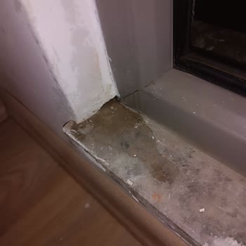 Sur Yapı Dış Cephe İzolasyonunda Su Sızıntısı Ve Sorumluluk Reddi