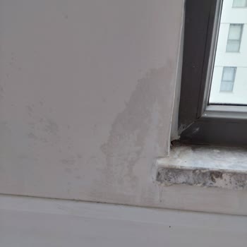 Sur Yapı Dış Cephe İzolasyonunda Su Sızıntısı Ve Sorumluluk Reddi