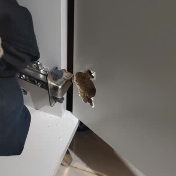 Bellona Yatak Odası Takımında Sürekli Arıza Ve Yüksek Kapak Değişim Ücreti Sorunu