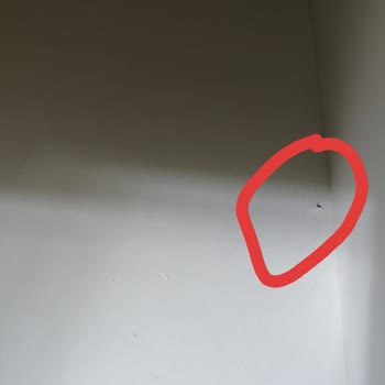 Kelebek Mobilya’da Teslimat, Montaj Ve Müşteri Hizmetlerinde Süreklilik Arz Eden Sorunlar