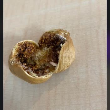 Kuru İncirde Kurtlar Çıktı: Gıda Güvenliği İhlali Ve Yetersiz İade