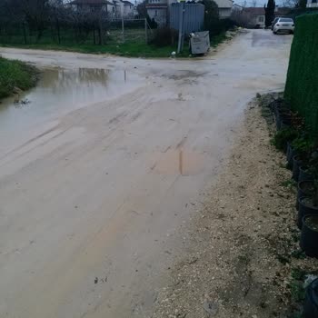 Kamiloba Mahallesi Sokaklarındaki Sürekli Su Birikintisi Ve Çökme Sorunu