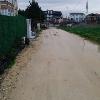 Kamiloba Mahallesi Sokaklarındaki Sürekli Su Birikintisi Ve Çökme Sorunu