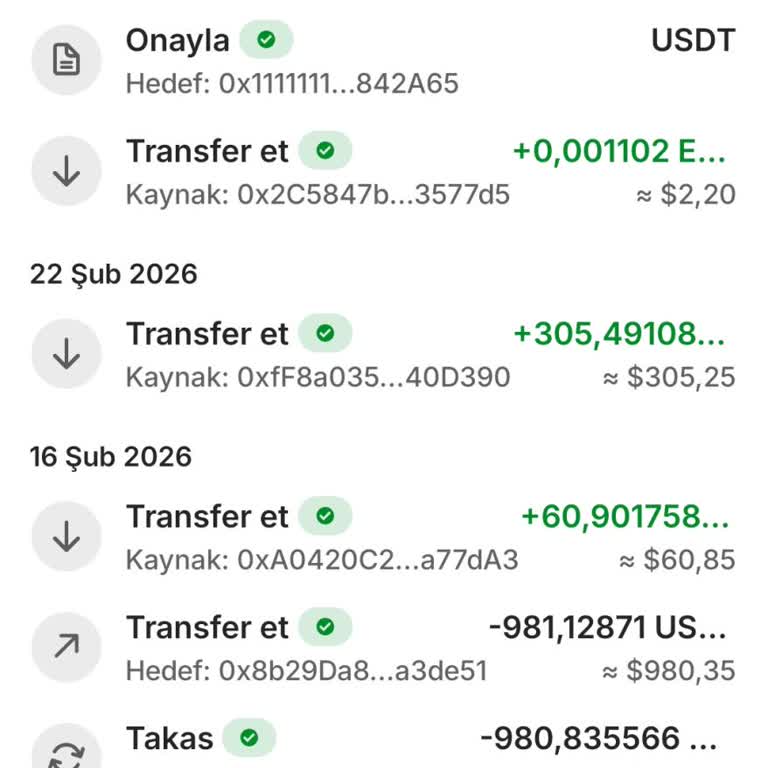 Trust Wallet Üzerinde Sahte Danışmanlık Sonrası 3300 USD Kayıp Ve Kimlik Bilgisi Riski