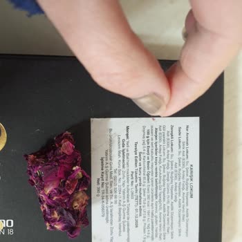 Hayfene Lokumunda Kıl Sorunu