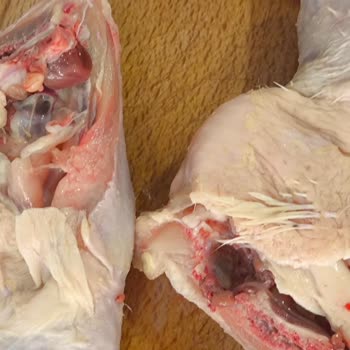 İstanbul Tuzla BİM Şubesinde Kıllı Ve Hijyenik Olmayan Tavuk Satışı