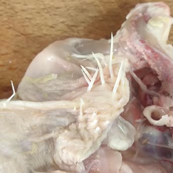 İstanbul Tuzla BİM Şubesinde Kıllı Ve Hijyenik Olmayan Tavuk Satışı