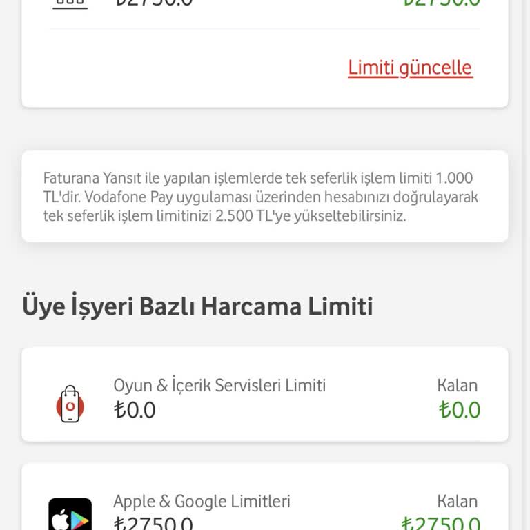 Faturaya Yansıtılan Limit Sadece Google Harcamalarına Sınırlı