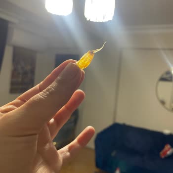 Ruffles Ketçaplı Cipste Canlı Parça Şoku