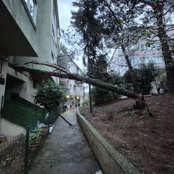 Kablo Net’ten 36 Saat Süren İnternet Kesintisi Ve Acil Çözüm Talebi