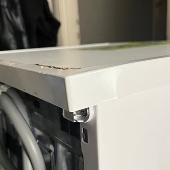 Hasarlı Bulaşık Makinesi İçin Değişim Reddine Karşı Şikayet