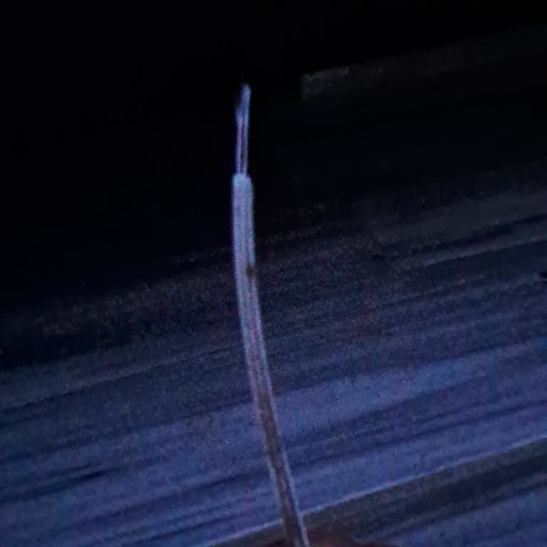 Kablonun Kopması Nedeniyle 2 Gün Süren İnternet Kesintisi Ve Acil Çözüm İsteği