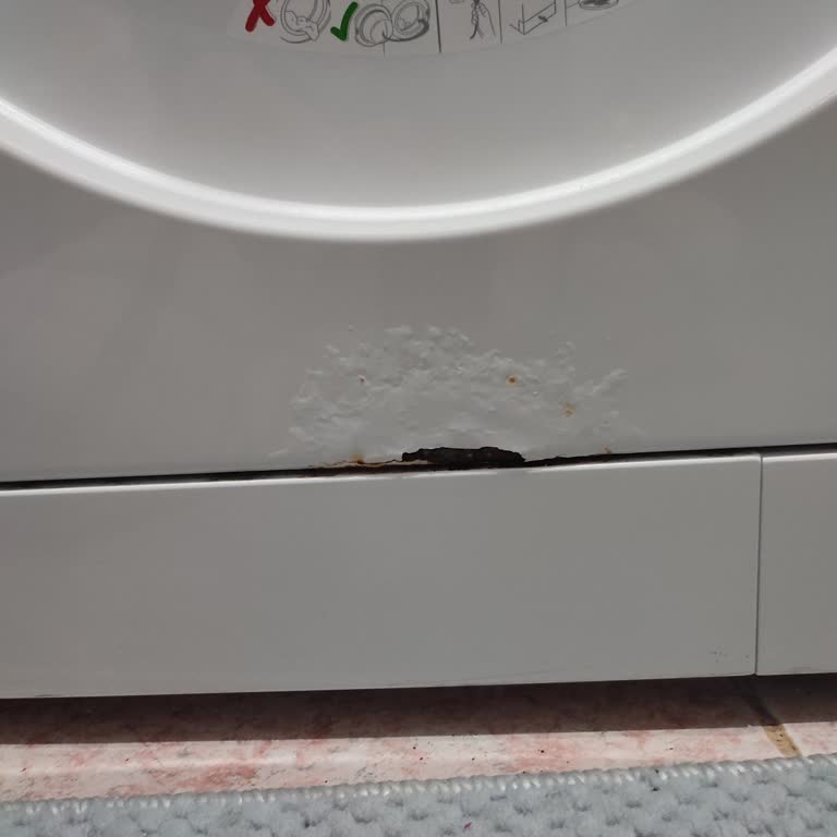 Arçelik Çamaşır Makinesinde Boya Kabarması Ve Paslanma Şikayeti