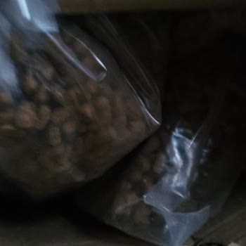 Ayıplı Kedi Maması İçin İade Ücreti Satıcıya Ait