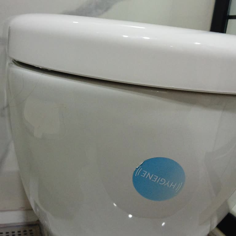 Vitra Kanalsız Klozetin Sızması Banyo Hijyenini Bozuyor