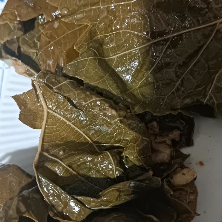 Satın Alınan Asma Yaprağı Kart Ve Kullanılamaz, Yanıltıcı Tanıtım Ve İade Talebi