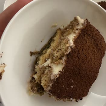 Pesotti Kedi Dili Bisküvi'nde Küf Görerek Tiramisu Çöpe Atıldı