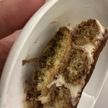 Pesotti Kedi Dili Bisküvi'nde Küf Görerek Tiramisu Çöpe Atıldı