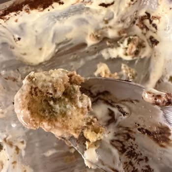 Pesotti Kedi Dili Bisküvi'nde Küf Görerek Tiramisu Çöpe Atıldı