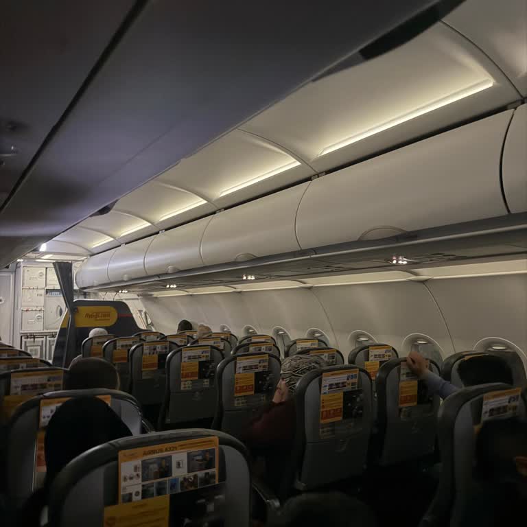 Pegasus Uçuşunda Hastalanan Yolcunun İhmal Edilmesi Ve Kabin Ekibi Tarafından Yardım Engellenmesi