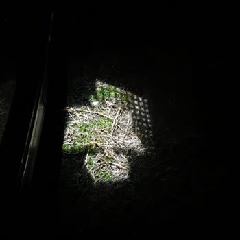 Volkswagen T-Roc Ayna Altı LED'lerde Üretim Hatası Ve Garanti Dışı Ücret Talebi