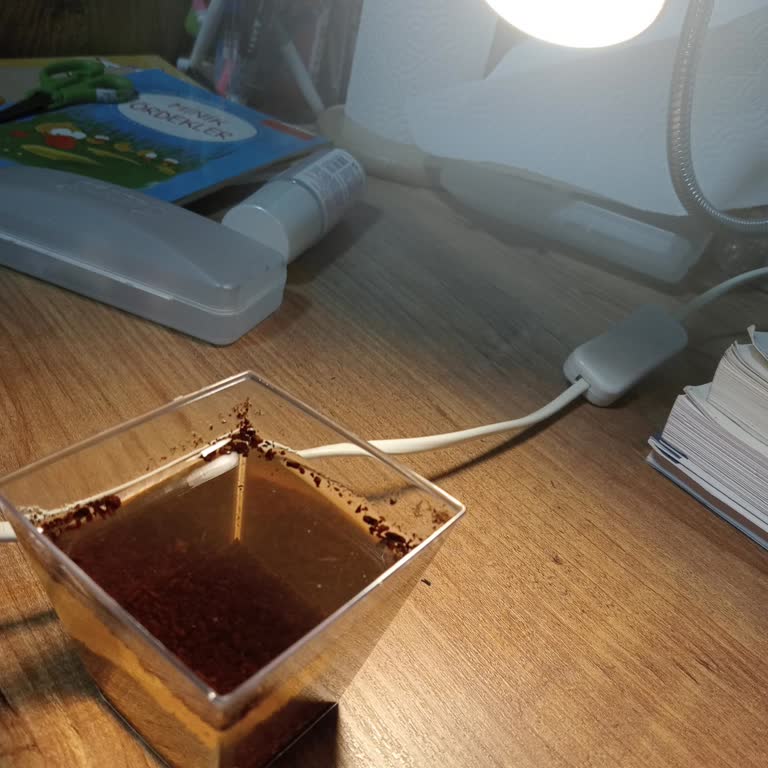 Hepsiburada Cgc Balık Yumurtalarının Canlanmaması