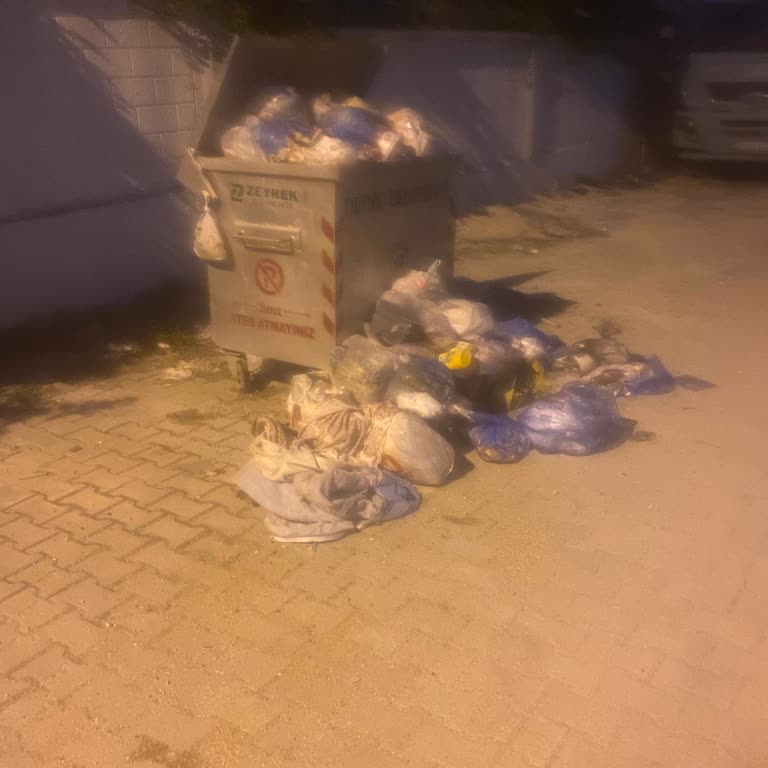 Haftada Bir Kez Çöp Toplanması Mahalleyi Kirletiyor