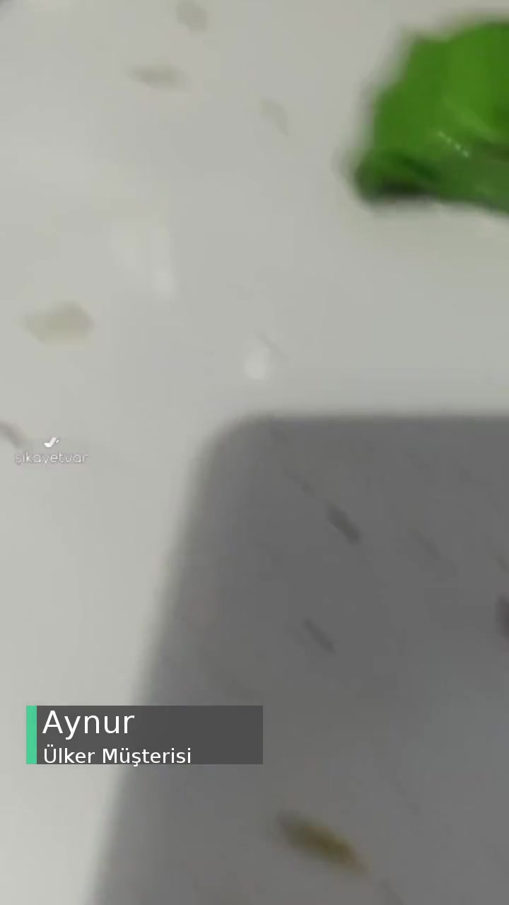 Ülker Çikolatalı Gofret Kurtlu Çıktı! videonun kapak resmi