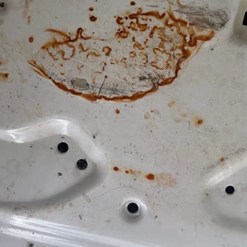 24 Aylık Beko Çamaşır Makinemde Paslanma Ve Çoklu Parça Değişimi Talebimin Reddedilmesi