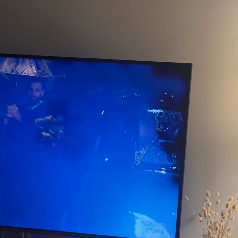 Garanti Bitmek Üzere Olurken Kurulum Sonrası Ekranda Beliren Siyah Leke İçin İade Talebi