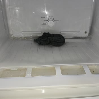 Samsung Buzdolabında Aşırı Buzlanma Ve Plastik Parça Bozulması