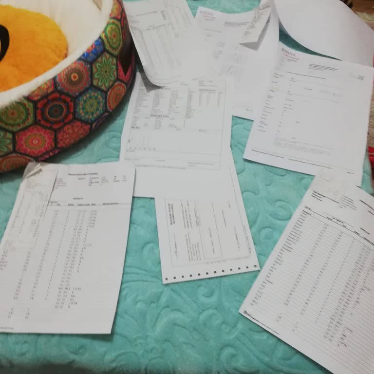 Veteriner Hastanelerinde 500 Bin TL Harcama Ve Belirsiz Tanı Şikayeti