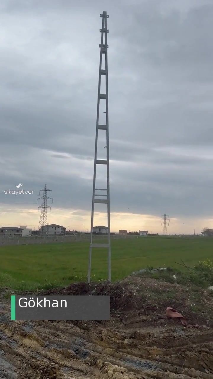 Boğaziçi Elektrik - Bedaş Elektrik Kablosu Binamıza Sürterek Yangına Sebebiyet Vermek Üzere! videonun kapak resmi