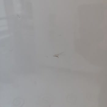 Karataş Nakliyat (Konya) Eşyalarım Çok Özensiz Şekilde Taşındı
