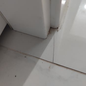 Karataş Nakliyat (Konya) Eşyalarım Çok Özensiz Şekilde Taşındı