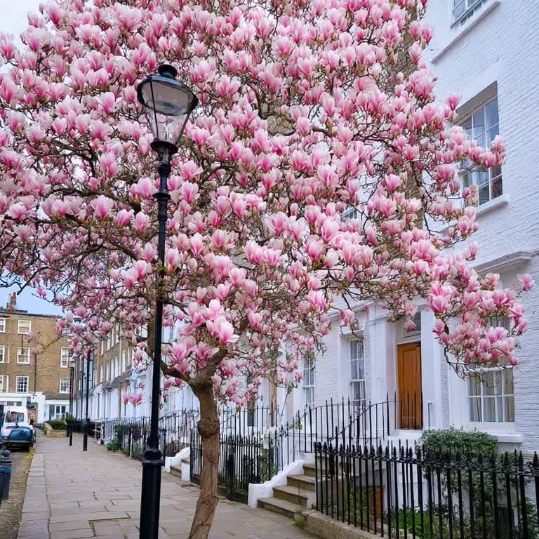 Kahvaltı Artıklarını Evime Götürme Talebim Reddedildi