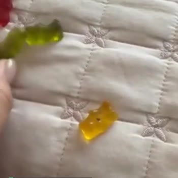 Haribo Ayıcıkların İçinde Siyah Bir Şeyler Var
