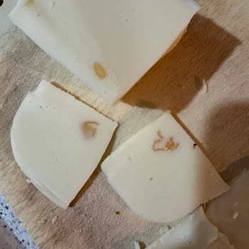 İçim Kaşarında Yabancı Cisim Ve Küf: Tekrarlayan Hijyen Sorunu