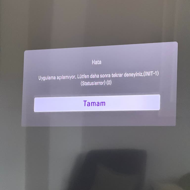 Uygulamaya Giriş Sorunu Nedeniyle Yıllık Üyelik İptali Ve Ücret İadesi Talebi