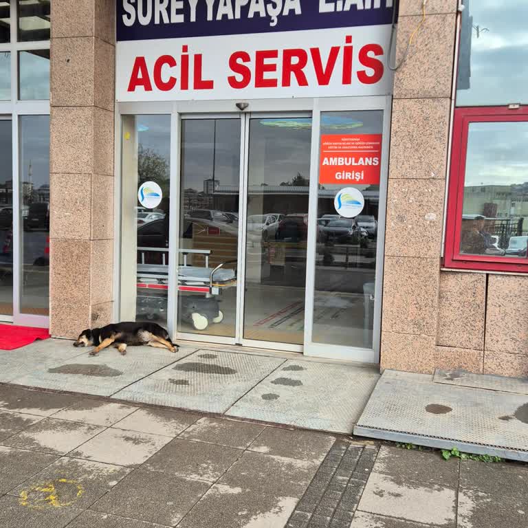 Otomattan Kahve Yerine Sıcak Su Aldım, 33 TL İadesi Talep Ediyorum