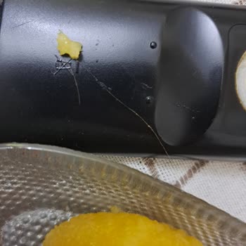 Peynir Helvasında Saç Bulunması Sağlık Ve Hijyen Tehlikesi